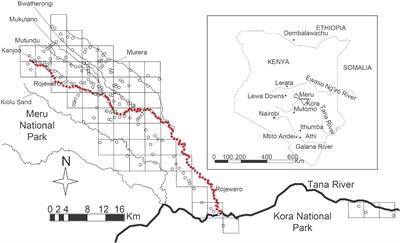 Population genetics of the naked mole-rat Heterocephalus glaber: The role of rivers in shaping genetic structure